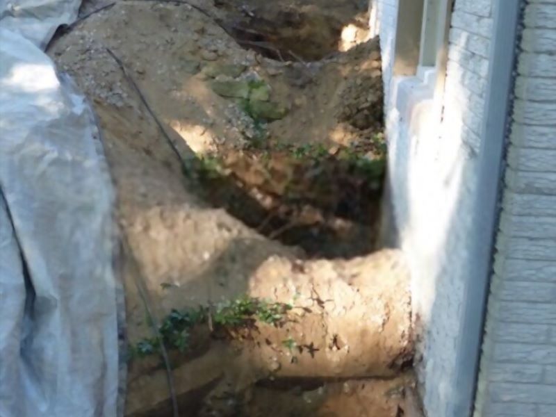 sinkholes near the house